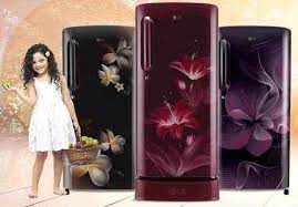 LG Refrigerator repair & services in Kapra